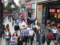 Interim manager director